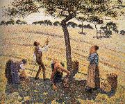 Camille Pissarro Apple picking oil